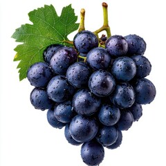 A photostock of plump purple grapes with a deep color, ideal for fresh fruit or wine themes, isolated on transparent PNG background, High Quality