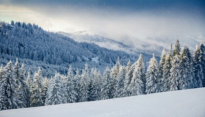 Winter Wonderland: Embracing the Magic of Snowy Landscapes