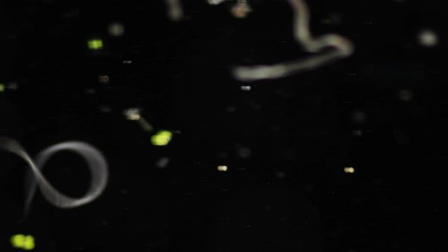 Methods of study of Protozoa, Algae and bacteria under the microscope in the biology laboratory.