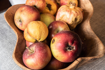 Organic apples and pomegranate in wooden bowl on gray background. Autumn harvest. Still life.