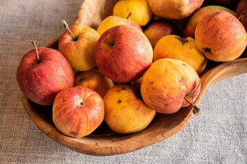 Organic apples and pomegranate in wooden bowl on gray background. Autumn harvest. Still life.