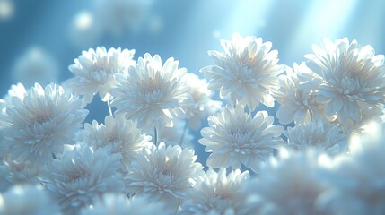 Delicate White Flowers in Soft Blue Light