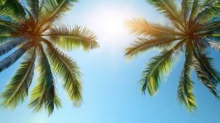 Two vibrant palm trees reach for a bright sun in a clear blue sky, creating a tropical paradise vibe.