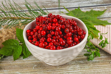 Natural organic wild forwst lingonberry