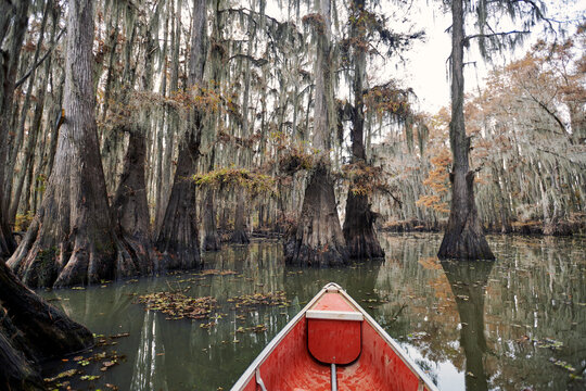 Canoe on a calm Caddo Lake