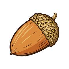 Vector Cartoon Color Brown Wild Acorn illustration