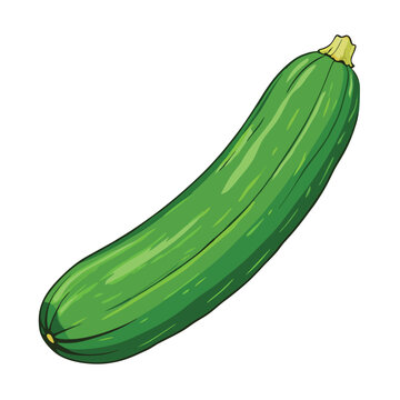 green zucchini vegetable isolated white clip art preview