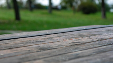 Wooden picnic table in a lush green park, perfect for relaxation and enjoying nature during summer gatherings