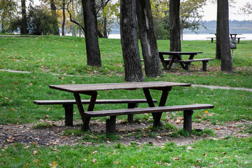 Empty wooden picnic tables in a serene park setting, ideal for outdoor gatherings and relaxation on a sunny day