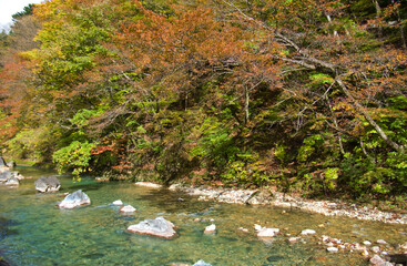 秋の紅葉と四万川