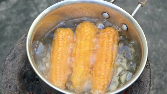 Sweet corn is being boiled. This is a complete food for humans. It contains many vitamins, such as Vitamin B1, B5, C, B9, E, A. Boiled corn on the cob. It's like all over world. Heathy eating. 