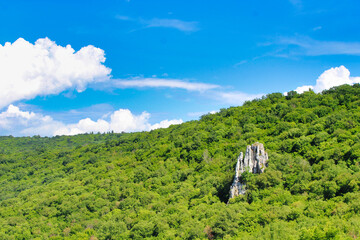 mysterious stones in a forest