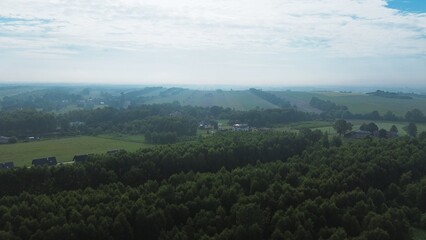 Morning Fog Veils the Lush Forest Landscape