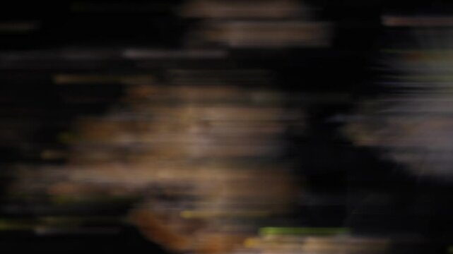 Methods of study of Protozoa, Algae and bacteria under the microscope in the biology laboratory.