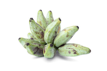 Bunch of raw Musa Silver Bluggoe bananas The Thai name is Kluai Hak Mook isolate on white background.