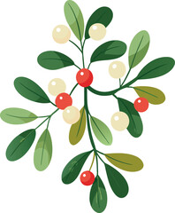 mistletoe christmas berries vector illustration
