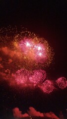 Spectacular Fireworks Display Lighting Up the Night Sky