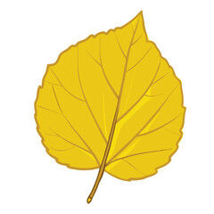 Vector Cartoon Illustration Autumn Fallen Yellow Leaf of Hazel Trees Illustration