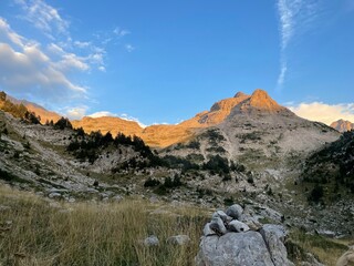 landscape in the morning