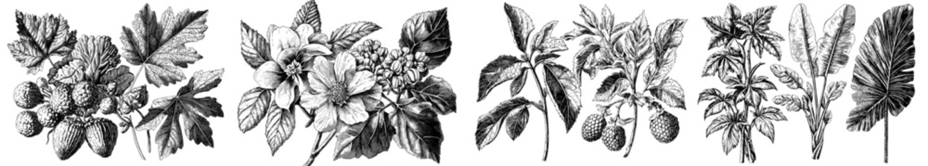 Fototapeta premium Flower collection with floral pattern. Hand-drawn elements and modern illustration.