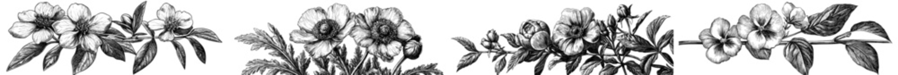 Naklejka premium A collection of hand drawn botanical doodles with meadow plants and flowers. A pencil ink sketch of a flower and leaf set in a modern setting.