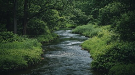 Obraz premium A Winding River Through Lush Green Foliage