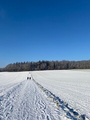 Obraz premium A serene winter landscape with a snow-covered field and distant walkers under a clear blue sky, bordered by a line of frosty trees, creating a peaceful, scenic view.
