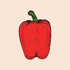 Bell pepper sketch outline illustration. Simple doodle drawing in engraving style. Hand drawn vector line art clipart isolated on beige background