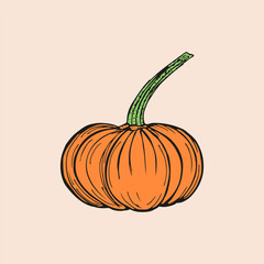 Pumpkin sketch outline illustration. Simple doodle drawing in engraving style. Hand drawn vector line art clipart isolated on beige background