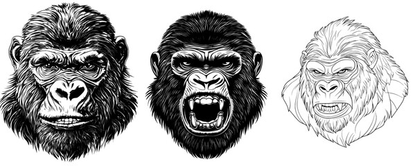 A gorilla head and face icon in modern and svg format