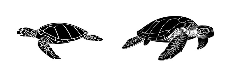 Naklejka premium An isolated turtle silhouette against a white background, modern illustration