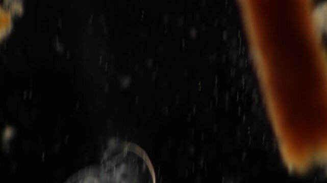 Methods of study of Protozoa, Algae and bacteria under the microscope in the biology laboratory.