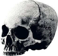 Сlipping from a black and white vintage magazine elements, halftone scull.