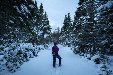 A Woman Dressed in Purple Winter Clothes Walks in with Snowshoes on a Snow-Covered Trail in the Woods of Anticosti Island, Quebec, Canada