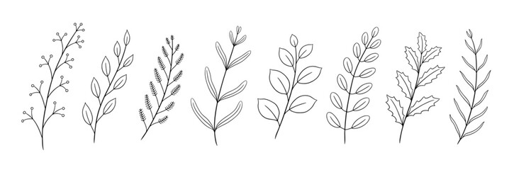 Set of hand-drawn illustrations of leafy branches
