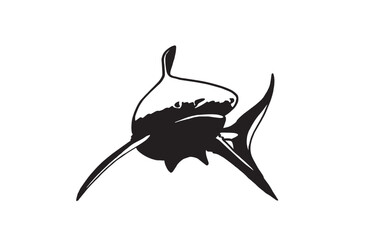 Graphical white shark isolated on white background,vector ink pen illustration,tattoo	