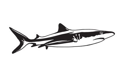 Graphical white shark isolated on white background,vector ink pen illustration,tattoo	