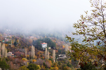 autumn in the mountains, fog, autumn colors, landscapes