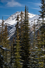 snow covered mountains