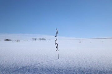훗카이도의 겨울