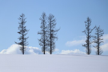 훗카이도의 겨울