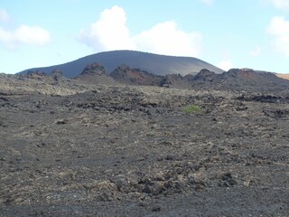 Volcanic landscape in Lanzarote
