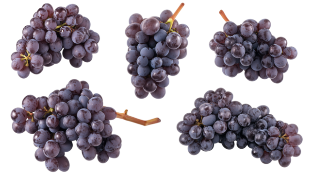 Set of purple grape clusters isolated on transparent background