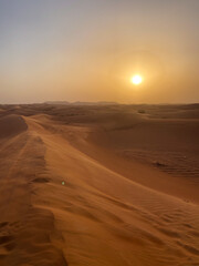 A mesmerizing desert landscape under a golden sunset, with rolling sand dunes stretching to the horizon. The warm glow creates a peaceful and timeless atmosphere across the arid terrain.