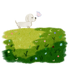 Dog on grass