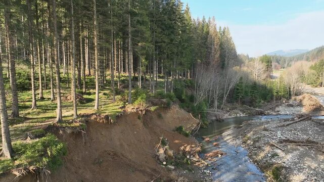River Jeseniky autumn fall after flood meander drone aerial mountain in sandy delta sand alluvium, benches forest spruce wetland Cerna Opava swamp, quadcopter color view flying, Europe