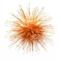 vibrant orange abstract shape resembling sea urchin with intricate details and textures, set against white background. spiky form creates dynamic and energetic visual