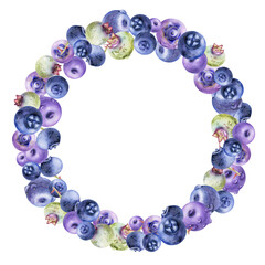 Blueberry blackberry, hand drawn in watercolor, group of scattered ripe forest berry with drops, blue and purple. Wreath frame isolated illustration, for restaurant, cafe menu, wedding, farmers market