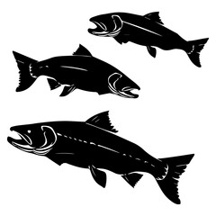 Set Of Fish High-Quality Fish Vector Illustrations for Creative Projects