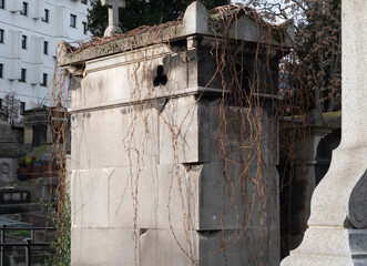 Climbing plants during winter, taking over various elements. Shot in Village and Graveyard areas.